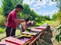 Petani Madu di Jambi Raup Cuan Lebih dari Program Binaan PT WKS