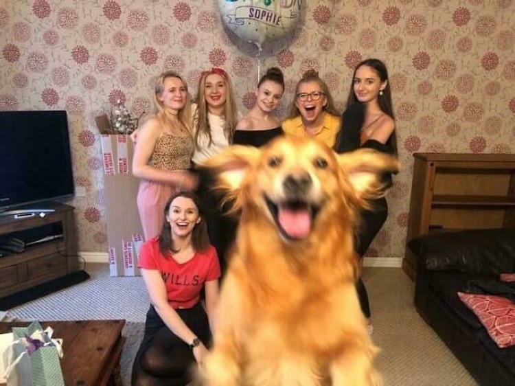 Photobomb hewan