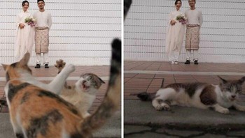 Foto: via BoredPanda