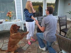 Kumpulan Momen Kocak Hewan Tidak Sengaja Photobomb