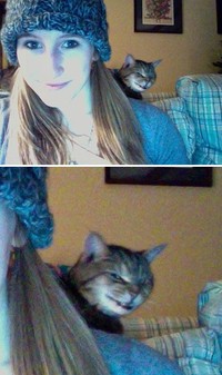 Photobomb hewan