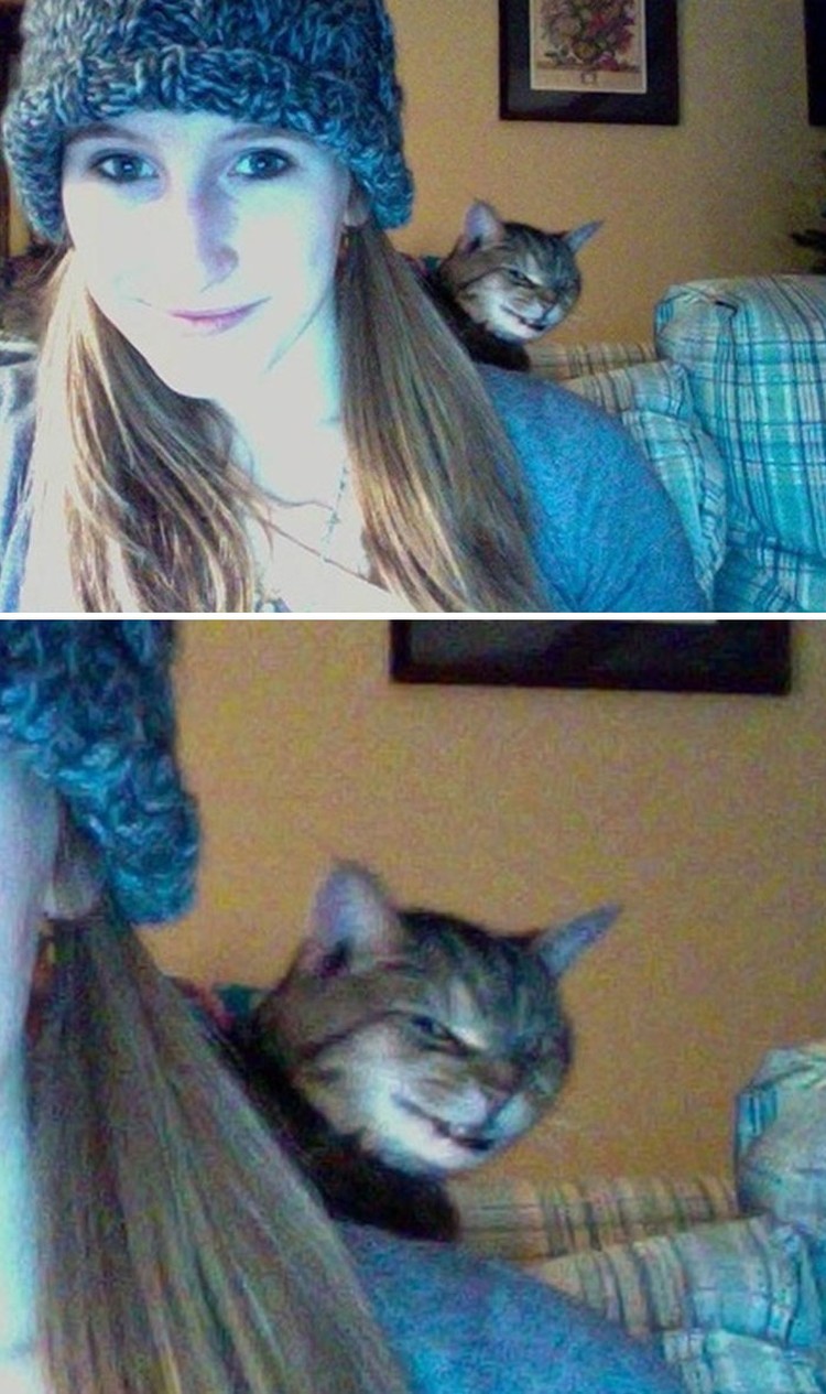 Photobomb hewan