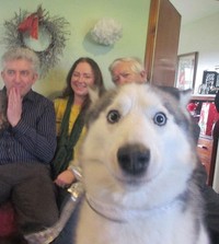 Photobomb hewan