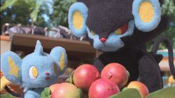 Cuteness Overload! Yuk Intip Episode Terbaru Pokemon Concierge