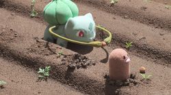 Cuteness Overload! Yuk Intip Episode Terbaru Pokemon Concierge
