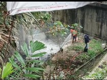Viral Kebakaran di Selokan Mataram Dipicu Pipa Gas Bocor, Ternyata...
