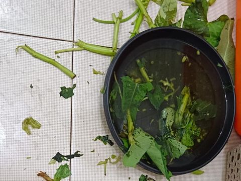 Sampah sayuran yang dijadikan pupuk oleh Ayu Afria.