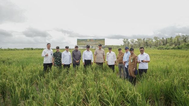 Sejumlah menteri hingga pejabat lembaga meninjau langsung perkembangan di kawasan Wanam, Merauke (Dok istimewa).