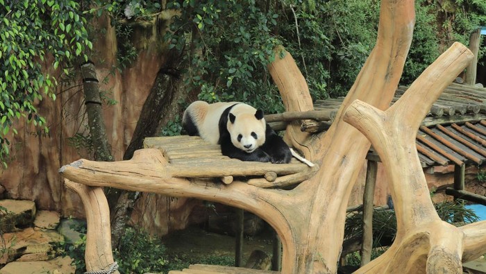 Taman Safari