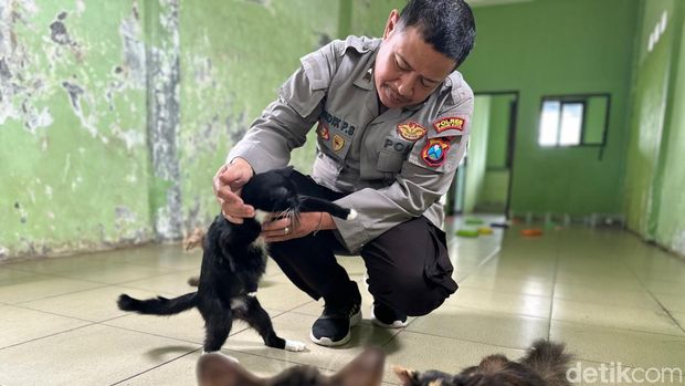 Aipda Andik Puji Sumartono bersama kucing yang dia pelihara di panti kucing gratis miliknya.