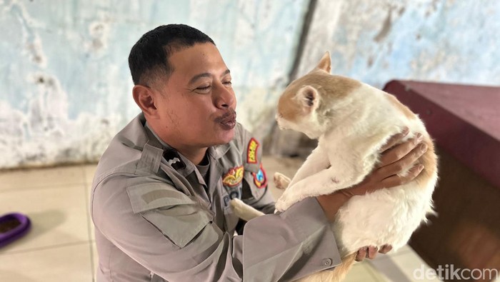 Aipda Andik Puji Sumartono bersama kucing yang dia pelihara di panti kucing gratis miliknya.