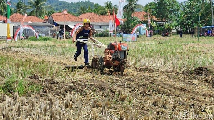 Balap traktor di Pangandaran.