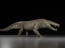 Buaya Purba Mengerikan Ini Memangsa Dinosaurus