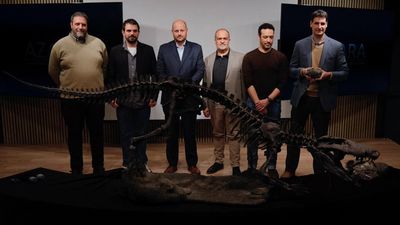 Fosil Buaya Purba Mirip T Rex Ditemukan di Argentina