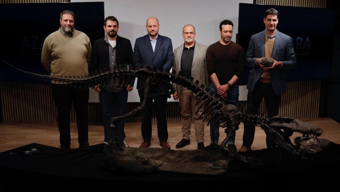 Fosil Buaya Purba Mirip T Rex Ditemukan di Argentina A plastic reproduction and the fossilized bones of the Kostensuchus atrox, an ancient crocodile that lived around 70 million years ago close to the end of the dinosaur era, discovered in Argentinian Patagonian area, are displayed at the Maimonides university, in Buenos Aires, Argentina, August 27, 2025. REUTERS/Alessia Maccioni
