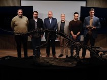 Fosil Buaya Purba Mirip T Rex Ditemukan di Argentina