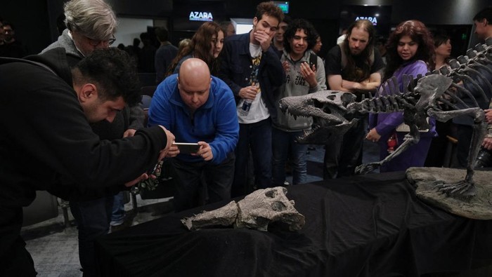 Fosil Buaya Purba Mirip T Rex Ditemukan di Argentina A plastic reproduction and the fossilized bones of the Kostensuchus atrox, an ancient crocodile that lived around 70 million years ago close to the end of the dinosaur era, discovered in Argentinian Patagonian area, are displayed at the Maimonides university, in Buenos Aires, Argentina, August 27, 2025. REUTERS/Alessia Maccioni