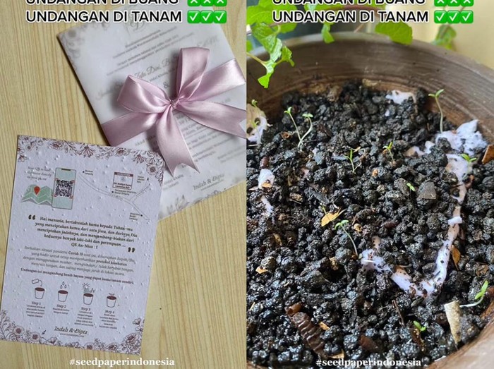 Kartu undangan pernikahan bisa menjadi bibir sayuran, ramah lingkungan dan bisa menjadi inspirasi bagi pasangan calon pengantin.