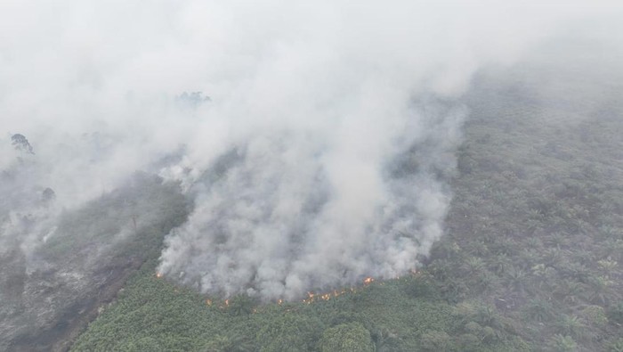 Kebakaran lahan di Aceh Selatan. (Foto: dok BPBA ).