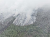 Tim Gabungan Cegah Karhutla di Aceh Selatan Meluas ke TN Gunung Leuser