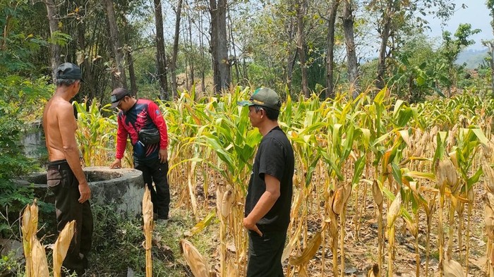 Kekeringan di wilayah Ponorogo
