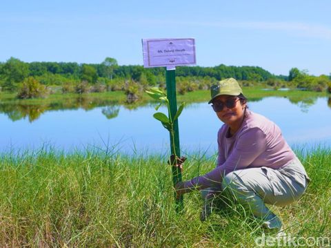 Kunjungan Sri Lanka ke Desa Liagu, Bulungan, Kaltara untuk belajar mengelola mangrove secara alami.
