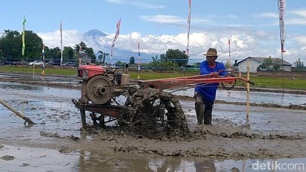 Lomba ketangkasan traktor di persawahan Desa Sumub Lor, Kecamatan Sragi, Kabupaten Pekalongan, Kamis (28/8/2025).