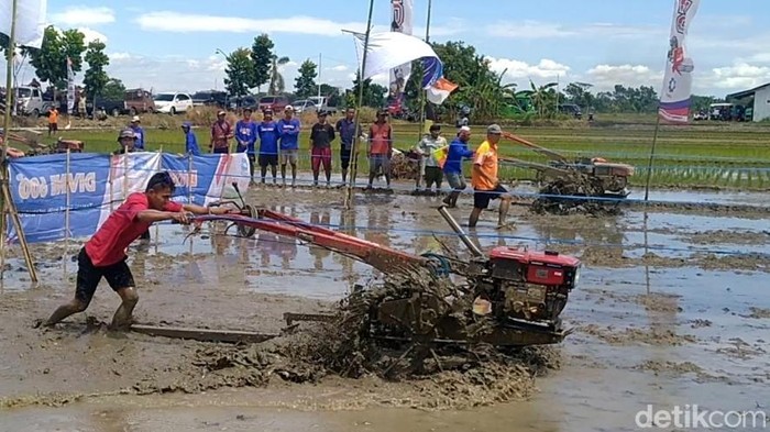 Lomba ketangkasan traktor di persawahan Desa Sumub Lor, Kecamatan Sragi, Kabupaten Pekalongan, Kamis (28/8/2025).