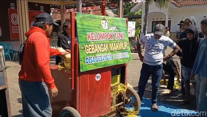 Lomba rajang tembakau di Probolinggo