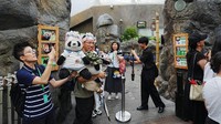 Pengunjung menyaksikan momen menggemaskan panda kembar Jia Jia dan De De yang menjadi daya tarik utama dalam perayaan ulang tahun pertama mereka. Foto: REUTERS/Lam Yik