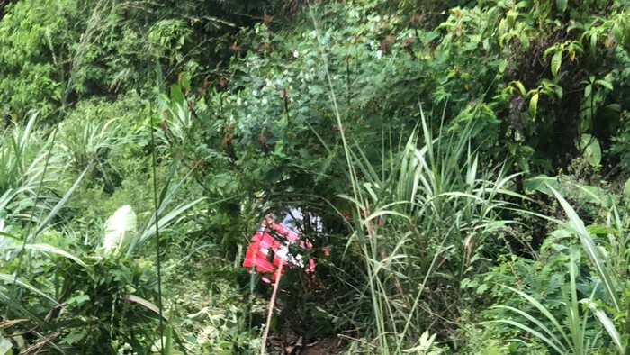 Mobil merah terjun ke jurang, penumpang selamat