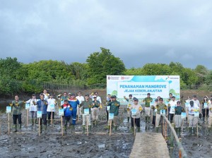 Jaga Lingkungan Berkelanjutan, Pertamina Tanam 800 Pohon Mangrove