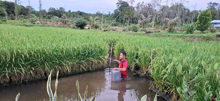 Perkuat Ketahanan Energi-Pangan, Pertamina Dukung 110 Inovasi Lewat PFmuda