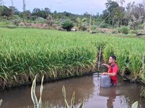 Perkuat Ketahanan Energi-Pangan, Pertamina Dukung 110 Inovasi Lewat PFmuda