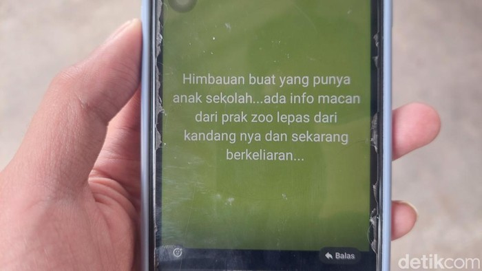Pesan berantai macan tutul kabur di Cisarua KBB