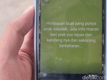 Heboh Kabar Macan Tutul Kabur di Cisarua KBB, Polisi Siaga