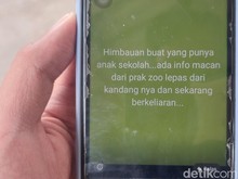 Sederet Fakta Macan Tutul Kabur di Cisarua Bandung Barat