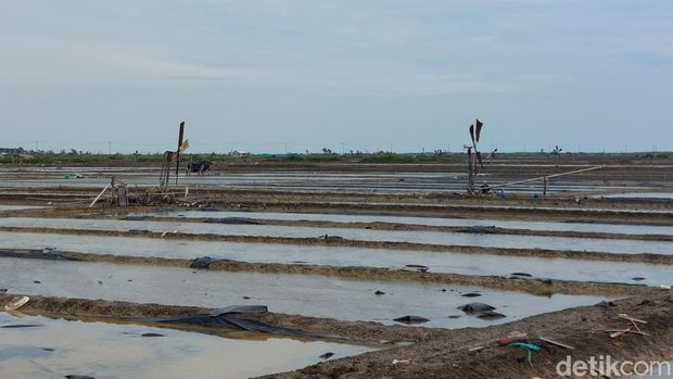 Petani garam di Kecamatan Pangenan Cirebon