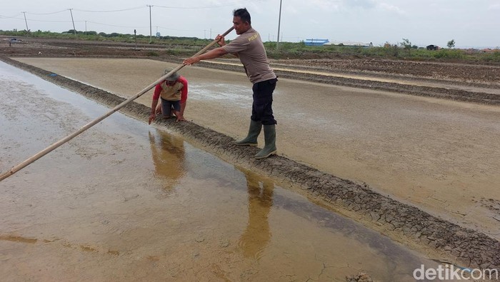 Petani garam di Kecamatan Pangenan Cirebon