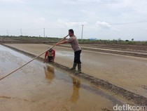 Serba Salah Petani Garam Cirebon: Harga Bagus, Produksi Seret