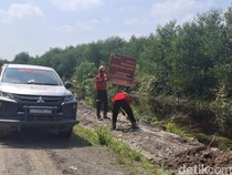 Strategi PT WKS Jambi Jaga Gambut dari Ancaman Karhutla di Kebun Akasia