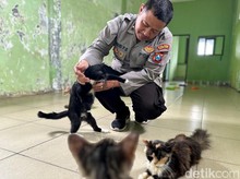 Polisi Kota Kediri Membuka Panti Kucing Gratis