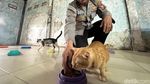 Polisi Kota Kediri Membuka Panti Kucing Gratis