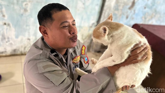 Polisi Di Kota Kediri Membuka Panti Kucing Gratis