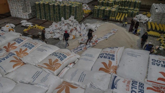 Sejumlah pekerja membongkar muat beras di Gudang Bulog Ternate, Maluku Utara, Kamis (28/8/2025). Kementerian Pertanian menyebutkan proyeksi ketersediaan beras nasional periode Januari-Desember 2025 sebanyak 36,98 juta ton dengan kebutuhan beras 23,2 juta ton dan surplus pada Januari-September 2025 diperkirakan mencapai 13,78 juta ton, capaian tersebut positif bagi ketahanan pangan nasional sekaligus mendukung target swasembada yang dicanangkan Presiden Prabowo Subianto. ANTARA FOTO/Andri Saputra