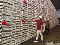 Stok Gula Menumpuk di PG Kremboong, Petani Tebu Terancam Seret Modal