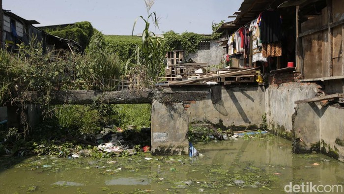 Selama 30 tahun warga Kampung Apung di Jakarta Barat hidup di tengah genangan yang tak kunjung surut. Rumah panggung jadi cara bertahan dari banjir abadi.