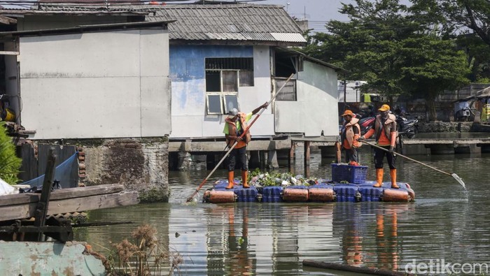 Selama 30 tahun warga Kampung Apung di Jakarta Barat hidup di tengah genangan yang tak kunjung surut. Rumah panggung jadi cara bertahan dari banjir abadi.