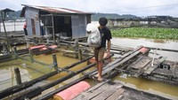 Berdasarkan data Dinas Kelautan dan Perikanan (DKP) Kalimantan Timur, angka konsumsi ikan (AKI) di Kaltim meningkat menjadi 59,75 kilogram per kapita per tahun pada 2024. ANTARA FOTO/M Risyal Hidayat