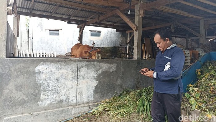 TKP pencurian sapi di Kota Blitar